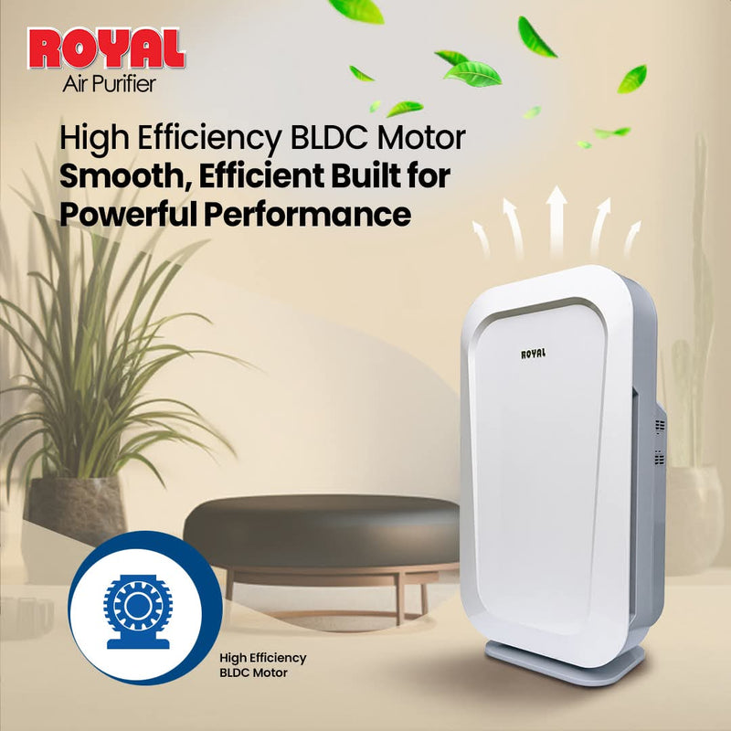 Royal Air Purifier Inverter RAP-7000